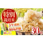 令和7年産 特別栽培米 夢しずく 玄米30kg