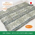 増量タイプ 二層 羽毛ふとん SL ホワイトダックダウン