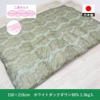 二層 羽毛ふとん SL ホワイトダックダウン90%