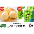ふるさと納税 フルーツ 定期便 年2回 2026先行予約 岡山 晴王 シャインマスカット 白桃 旬 果物 岡山県産 ぶどう ブドウ もも くだもの お楽しみ.. 岡山県井原市