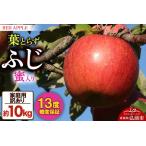 ふるさと納税 りんご 蜜入り 13度糖度保証【訳あり】家庭用 葉とらずふじ 約10kg 青森県弘前市