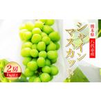 ふるさと納税 【先行予約】熊本県 八代市産 シャインマスカット 2房 1.0kg以上 ぶどう フルーツ マスカット 旬 青果物 果物 新鮮 ギフト 贈り物.. 熊本県八代市