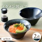 カラーイケメン丼 どんぶり 2個