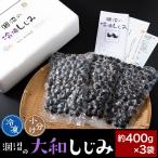 374 しじみ 約1.2kg