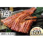 ふるさと納税 うなぎ 国産 静岡 うなぎ蒲焼 ハーフカット 100g ×6 計600g [静岡鰻販売 静岡県 吉田町 22424172] 静岡県吉田町