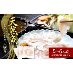 天然魚しゃぶしゃぶ盛り 300g