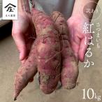さつまいも 紅はるか 10kg