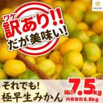 八朔 訳あり それでも 有田の八朔 はっさく