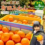 有田みかん 5kg