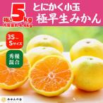 甘夏 玉ぞろい 箱込 5kg