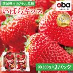 オリジナル品種 いばらキッス DX300g×2パック