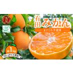 有田みかん 有田産 1kg