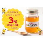 富津産ハチミツ 5~6月の花 500g×6本
