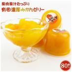 果肉果汁 有田濃厚みかんゼリー 80個入_ZJ6059