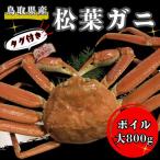 タグ付きボイル松葉ガニ 大800g