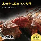 三田牛 三田 マルセ牛 サーロインステーキ