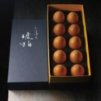 fu.... налог Tama .. янтарь 10 штук входит [ рассылка не возможно регион : отдаленный остров ][1456076] префектура Аичи ... город 