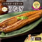 うなぎ 老舗料亭 鰻蒲焼 150g