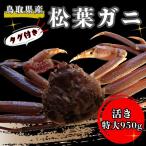 タグ付き生松葉ガニ 特大950g