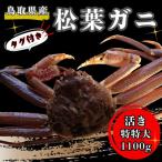 タグ付き生松葉ガニ 特特大1 100g以上