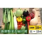 野菜定期便10ヶ月