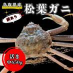 足1本なし生松葉ガニ 中650g