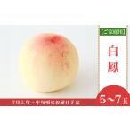 ふるさと納税 【ご家庭用】岡山白桃 白鳳 5〜7玉【2026年7月上旬頃から順次発送】 岡山県井原市