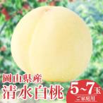 岡山白桃 清水白桃 5~7玉