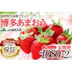 博多あまおう JAグループのブランドあまおういちご 1080g