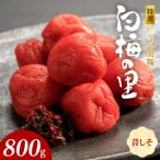 特選紀州南高梅 白梅の里 昔しそ 800g_SF2002