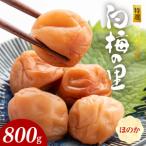特選紀州南高梅 白梅の里 昔しそ 800g_SF2002