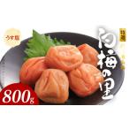 特選紀州南高梅 白梅の里 うす塩味 800g_SF2000