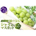 ショッピングふるさと納税 シャインマスカット ふるさと納税 頬張る幸福感 〜緑の宝石・シャインマスカット〜 1.2kg以上（2〜3房）【2026年発送】（RG）B-843 シャインマスカット フルーツ 山梨県甲州市