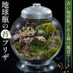 地球瓶の苔プリザ No.357