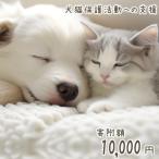 犬猫保護活動への支援 1万円