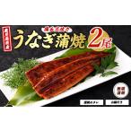 ふるさと納税 鹿児島県産うなぎ蒲焼 無頭背開き2尾 奈良 012-1667 うなぎ うなぎ 鹿児島県指宿市