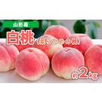 ふるさと納税 山形産 白桃 (柔らかめの桃) 約2kg 秀品 【令和7年産先行予約】FS23-717 くだもの 果物 フルーツ 山形 山形県 山形市 2025年産 山形県山形市