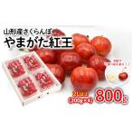 ショッピングふるさと納税 さくらんぼ ふるさと納税 さくらんぼ やまがた紅王 約800g(200g×4パック) 2Lサイズ以上 【令和6年産先行予約】FS23-747 山形県山形市