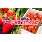 ふるさと納税 【定期便2回】山形の  いちご&さくらんぼ【令和8年産先行予約】FS24-521 くだもの 果物 フルーツ 山形 山形県 山形市 2026年産 山形県山形市