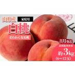 ふるさと納税 [ご家庭用]やまがたの桃 (白桃) 品種お任せ「柔らかくなる桃」8月 優品 約3kg(6〜12玉程度) 【令和8年産先行予約】FS23-811 くだも.. 山形県山形市