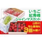 fu.... налог [ установленный срок рейс 3 раз ]* фрукты королевство Yamagata * клубника *. превосходящий .* автомобиль in мускат [. мир 8 год производство предшествующий предварительный заказ ]FS25-666.. было использовано фрукты фрукты.. Yamagata префектура Yamagata город 