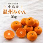 温州みかん 5kg
