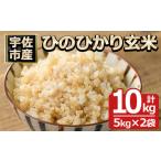 ひのひかり 玄米 計10kg