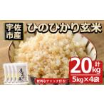 ひのひかり 玄米 計20kg