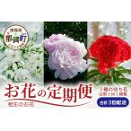 3回配送 けいとう アリウムコワニー しゃくやく