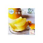 ふるさと納税 【先行予約】マルツジ果樹園の土佐文旦訳あり品（約5kg） 訳あり 8〜11個 家庭用 傷  高知県土佐市