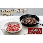 おおいた豊美牛 切り落とし 合計600g