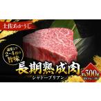 エイジング工法 熟成肉 土佐あかうし 特選シャトーブリアン