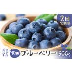 完熟ブルーベリー 500g