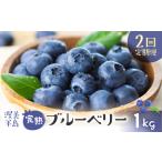 完熟ブルーベリー 1kg